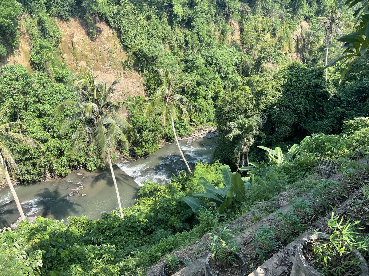 TimPlews's tweet photo. @dubpistols Afternoon vibe from our jungle Bali villa. Leave for Thailand Thursday and looking forward to new views … https://t.co/mFp2p7P9UP