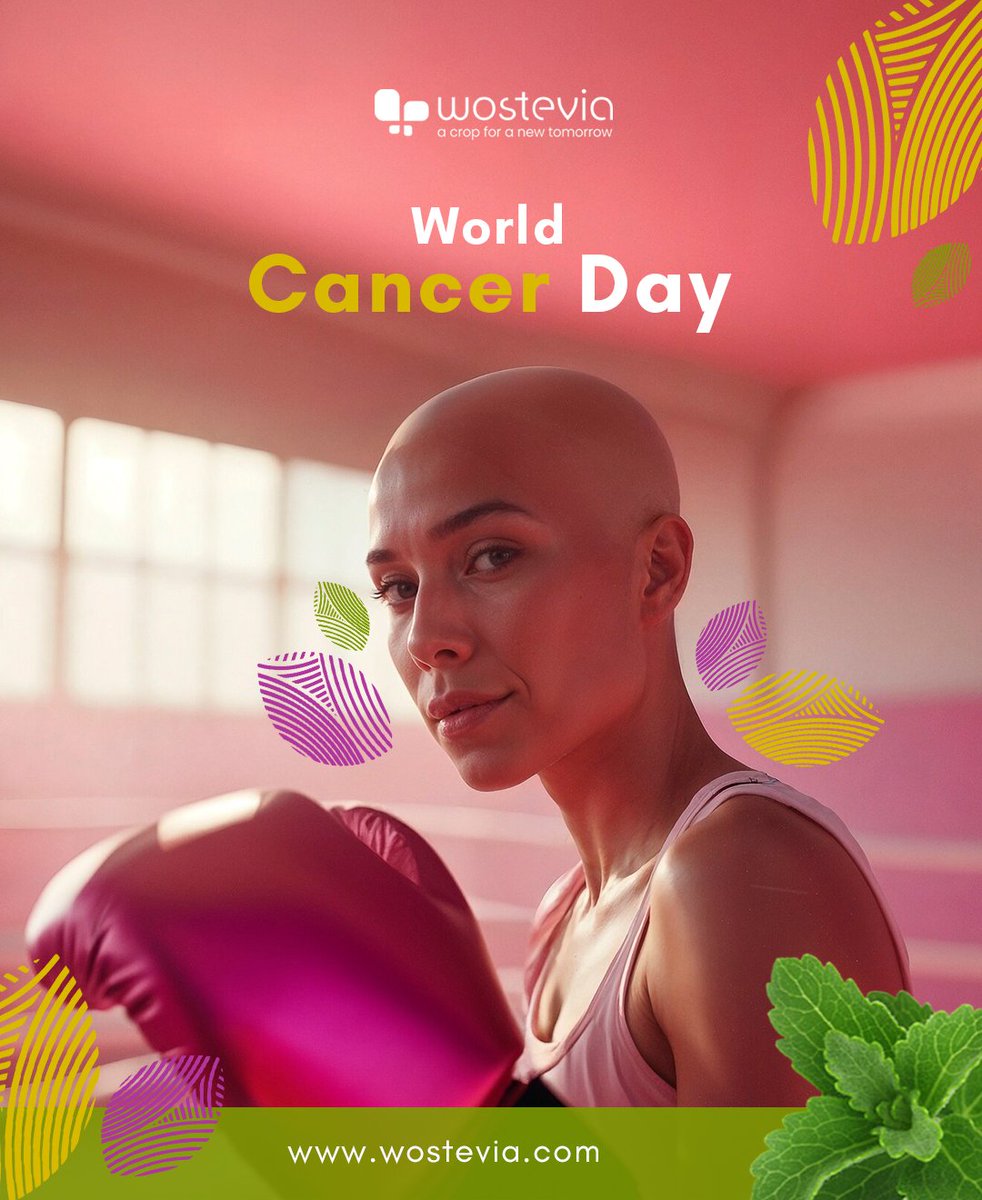 wostevia's tweet photo. 🌱 On #WorldCancerDay, we honor cancer survivors and their strength. At Wostevia, we believe in mindful choices for wellness—like our zero-calorie stevia! 

🌿 Benefits of Stevia:
✅ Natural &amp; Zero-Calorie
✅ Anti-Inflammatory 
✅ Antioxidant-Rich 
✅ Gentle on the Body https://t.co/yaPLYpdjBG