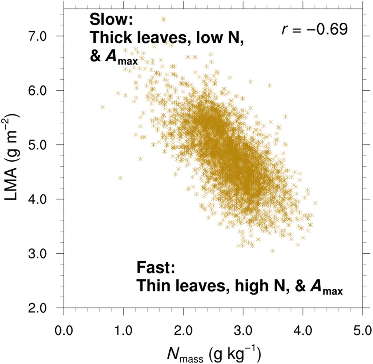 New Phytologist (@newphyt) on Twitter photo New insights into the leaf economic spectrum could benefit terrestrial models
📖 nph.onlinelibrary.wiley.com/doi/10.1111/np…
#Commentary by Harper and Jones highlighting the recent work by Asao et al.
📖 nph.onlinelibrary.wiley.com/share/MARNZY5S…
<a href="/simonrobjones/">Simon Jones</a> New insights into the leaf economic spectrum could benefit terrestrial models
📖 nph.onlinelibrary.wiley.com/doi/10.1111/np…
#Commentary by Harper and Jones highlighting the recent work by Asao et al.
📖 nph.onlinelibrary.wiley.com/share/MARNZY5S…
<a href="/simonrobjones/">Simon Jones</a>