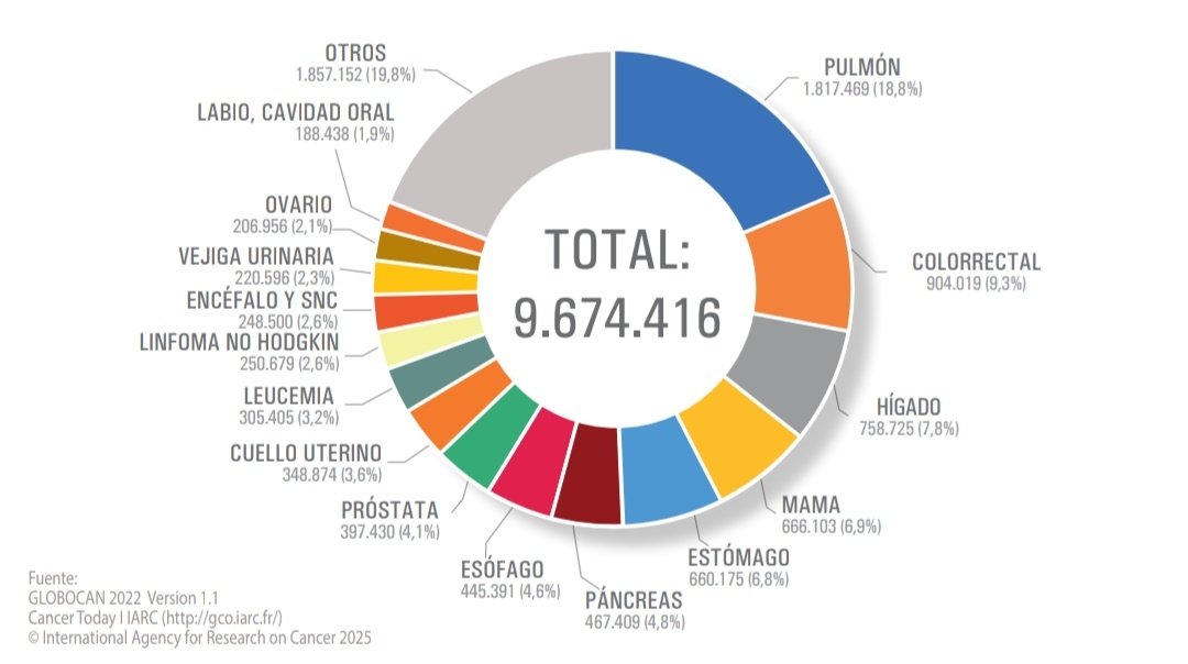 _Vila_L's tweet photo. #CancerPulmon ➕️ Mortalidad
"Los cánceres responsables del mayor número de fallecimientos a nivel mundial fueron el cáncer de pulmón (18,8%), colorrectal (9,3%), hepático (7,8%), mama (6,9%) y estómago (6,8%)" según publica @_SEOM https://t.co/JZgedbrZqr