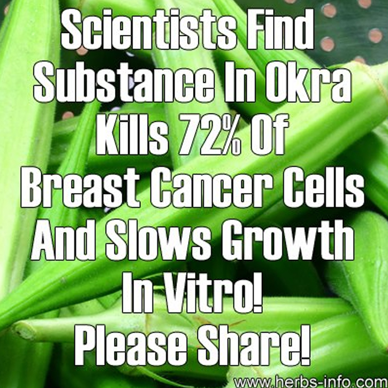 OrganicLiveFood's tweet photo. #Okra can help lower blood sugar, improve insulin sensitivity &amp; support weight management, essential for #diabetes control. Okra contains antioxidants polyphenols, including vitamins A &amp; C. It also contains a protein called lectin which inhibit #cancer cell growth in humans. 🌿