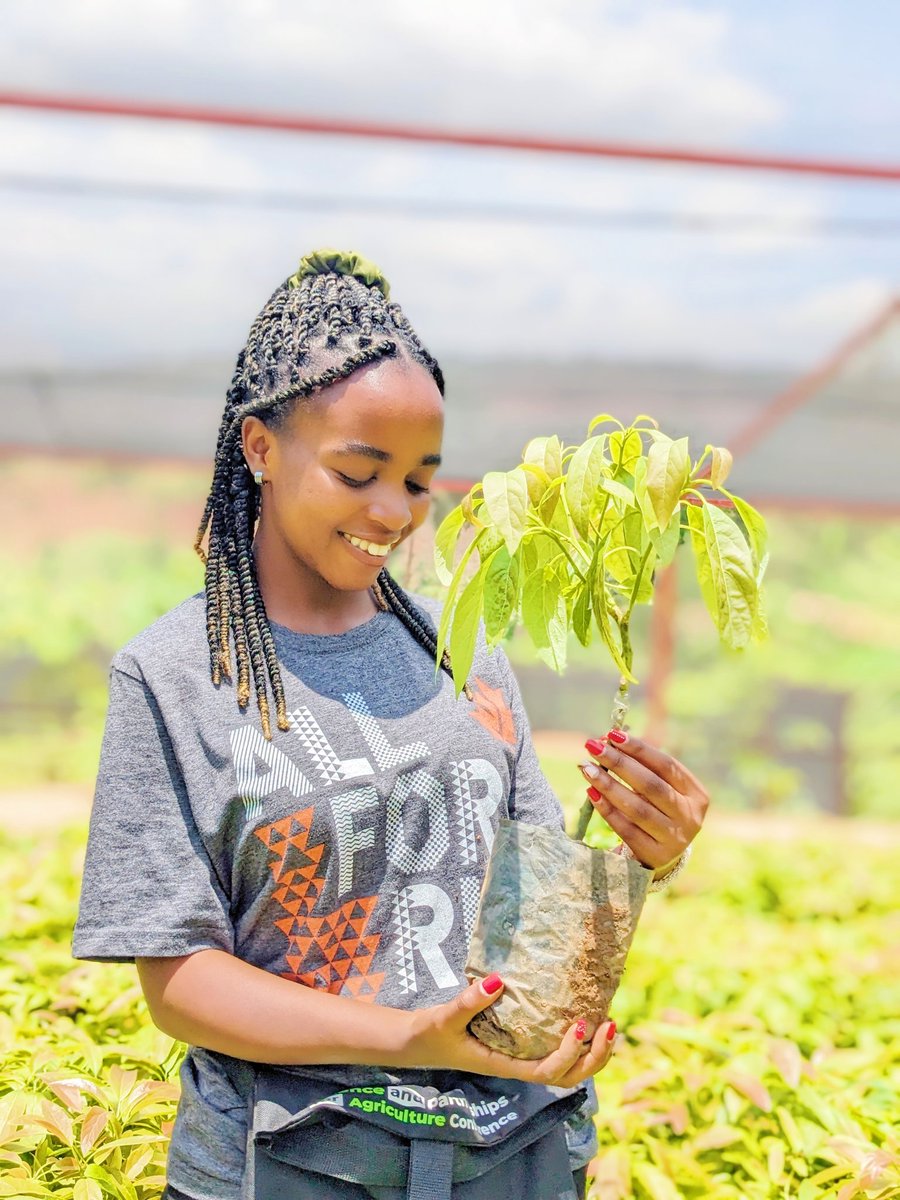 ShimoYvette's tweet photo. Plant fruit trees, Nurture it and #FeedTheCommunity https://t.co/Qp6N0cTSiW