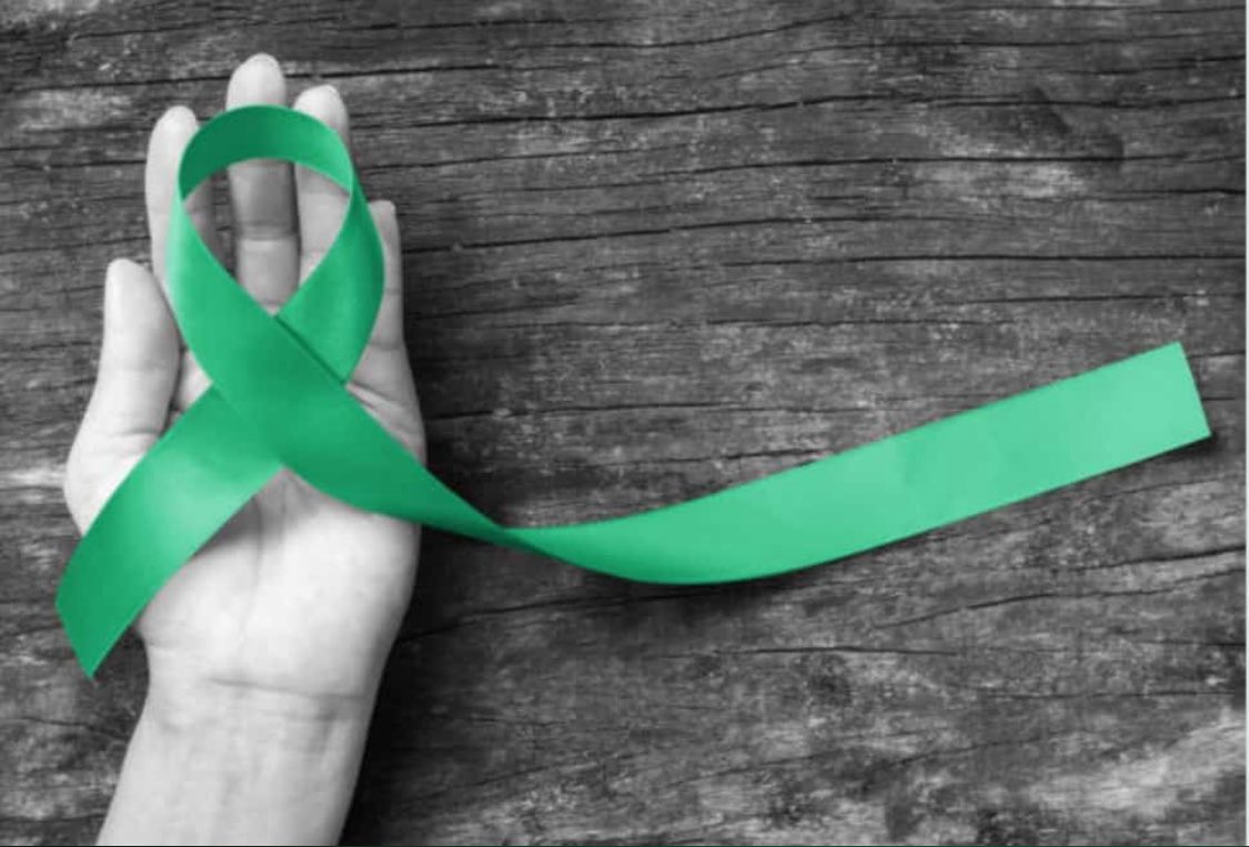 🦋 (@morpho_blu) on Twitter photo 