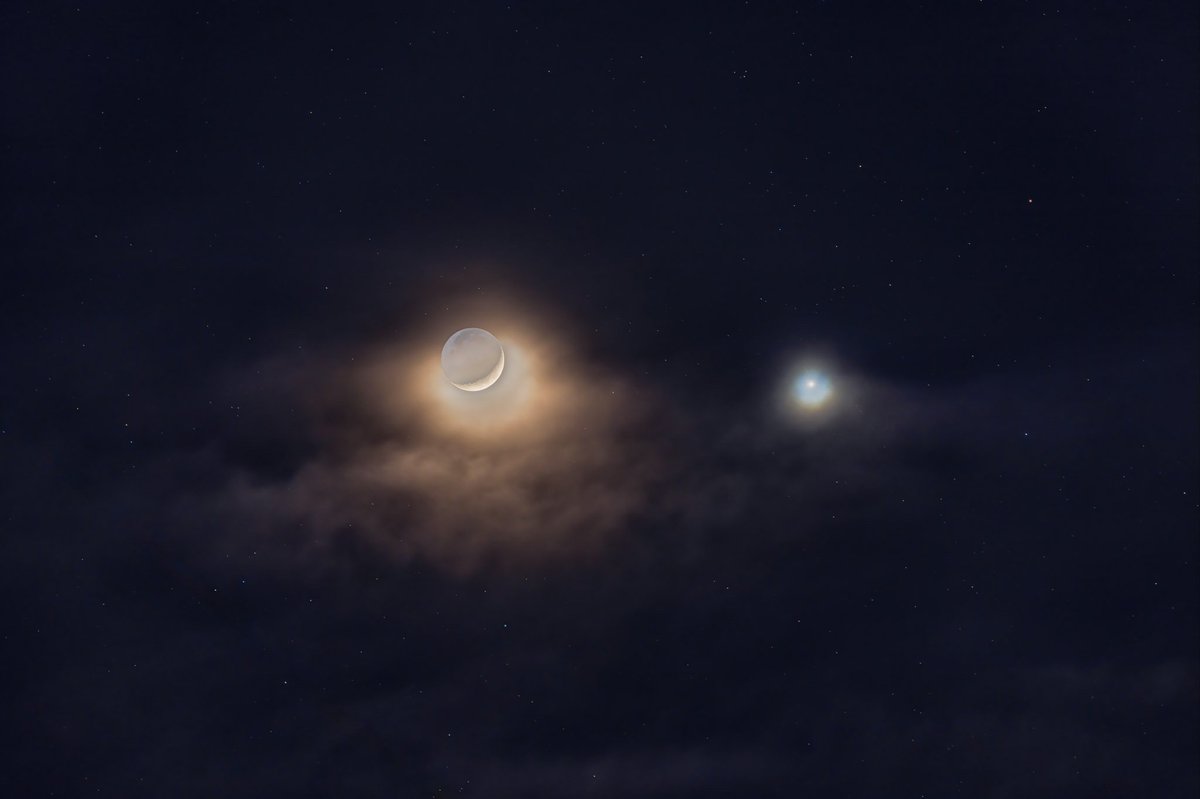 skysafariastro's tweet photo. Enjoy Venus At Its Best
By Alan Dyer (@amazingskyguy) - SkySafari Premium Preview
If you had clear skies you could not have missed the close conjunction of the crescent Moon near Venus on February 1 (when I shot the opening image). That conjunction marked the start of a fine month of Venus watching.

However, Venus has been prominent in our evening sky for the last few months. The steep angle of the ecliptic – the line along which we find the planets – has swung Venus up unusually high into the dusk sky this winter, at least for observers in the northern hemisphere.

As a result, Venus has been setting late enough to shine in a dark sky, making it especially obvious to even the most casual #skygazer.

If you’ve aimed a telescope at Venus you’ve seen it as a white disk, with a phase like a waxing Moon.

Over the next few weeks, Venus will approach closer to the Sun, placing it a little lower in the west each night, signaling the end of its evening appearance — but not before it puts on a peak performance.

As Venus begins its descent toward the Sun, it will brighten even more!  Its disk will also grow in size as Venus gets closer to Earth, but its phase will shrink from a wide crescent to a razor thin crescent.
In this illustration for February 1, 2025 I have used #SkySafari to magnify the disk of Venus by 150x and the Moon by 6x. The scene is for a mid-northern latitude.

On February 1 the waxing Moon sat just 2° below Venus for a striking pairing in the evening sky.

Look at Venus through a telescope and you’ll now see it is also a crescent, but wider than the Moon’s phase that night. At the start of February the Venusian disk is 32 arc seconds across and is 37% lit.

On February 14 (#ValentinesDay, appropriate for the planet named for the #goddess of love) Venus peaks at maximum brilliance, at magnitude -4.9, far brighter than any other #planet can ever shine — or star for that matter, unless it’s a supernova!

The Venusian disk has now grown to 39 arc seconds across, but its phase has thinned to 27% lit.

Even though less of the disk is sunlit, the portion that is lit is now larger. The two factors — growing size but decreasing phase — combine to peak Venus at its maximum brightness (or “greatest illuminated extent,” to use the formal term) in mid-February.
By March 1, as shown above, the waxing crescent Moon is back near Venus for a wider conjunction.

But the disk of Venus has now grown to 49 arc seconds across, larger than any other planet can appear, and is now just 14% lit. That’s thin, though the Moon this night is an even thinner 5% phase.

The evening show ends in early March when Venus, which has been so obvious for the last few months, drops rapidly out of sight toward the Sun, to disappear from view as the planet comes between Earth and Sun (called “inferior conjunction) on March 22.

To watch #SkySafari simulate the motion and phases of Venus, (open this story in "Tonight" -> "Featured Story" of any #SkySafari 7 app) and click the link to set the sky for February 1, 2025.  You can also download the .skyset file below:

https://t.co/OOoWmVkJcr

Then step ahead in time at one-day increments to watch Venus descend toward the Sun, grow in size, but shrink in phase, with its disk magnified by 150 times.

Or better yet, get outside every clear evening with a telescope to watch as #Venus performs at its best and most brilliant.  #astro #space