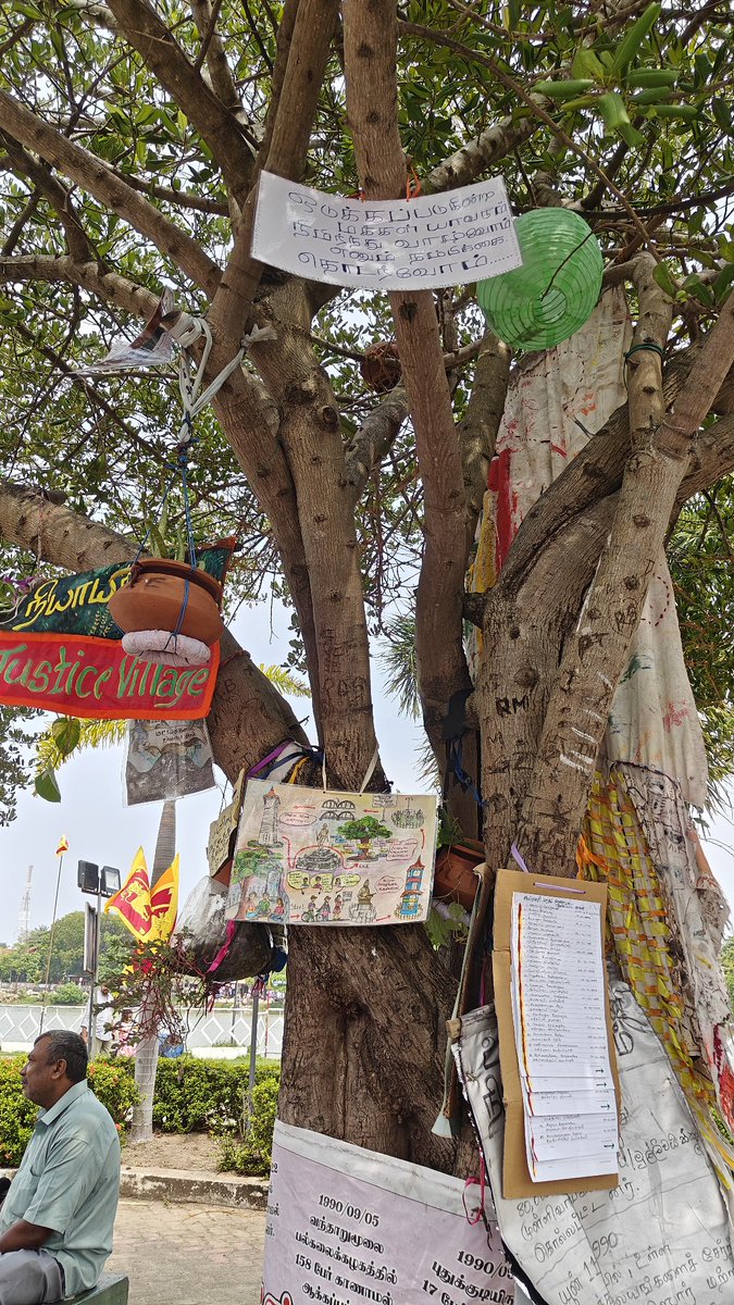 The 1000th day of the Batticaloa Justice Walk was energetic. It reflected a broad range of people's struggles: the impact of war and conflict, poverty, bad laws, discrimination and denial of rights. It refracted diverse dreams and aspirations for justice and freedom. (1/2)