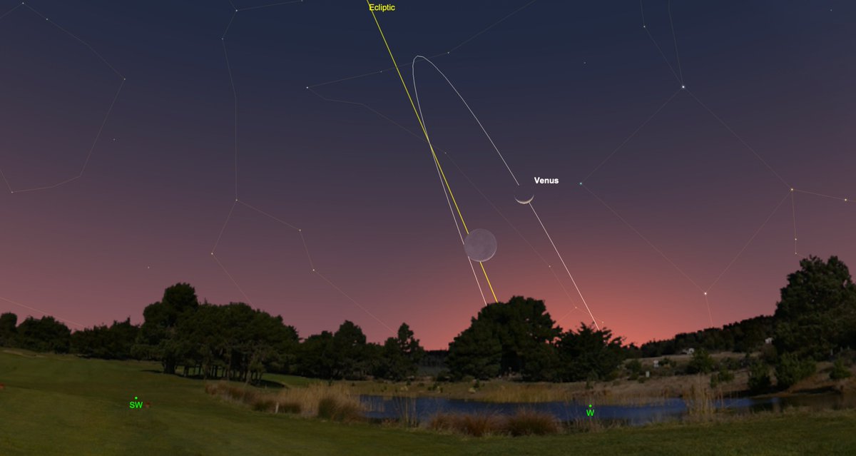 skysafariastro's tweet photo. Enjoy Venus At Its Best
By Alan Dyer (@amazingskyguy) - SkySafari Premium Preview
If you had clear skies you could not have missed the close conjunction of the crescent Moon near Venus on February 1 (when I shot the opening image). That conjunction marked the start of a fine month of Venus watching.

However, Venus has been prominent in our evening sky for the last few months. The steep angle of the ecliptic – the line along which we find the planets – has swung Venus up unusually high into the dusk sky this winter, at least for observers in the northern hemisphere.

As a result, Venus has been setting late enough to shine in a dark sky, making it especially obvious to even the most casual #skygazer.

If you’ve aimed a telescope at Venus you’ve seen it as a white disk, with a phase like a waxing Moon.

Over the next few weeks, Venus will approach closer to the Sun, placing it a little lower in the west each night, signaling the end of its evening appearance — but not before it puts on a peak performance.

As Venus begins its descent toward the Sun, it will brighten even more!  Its disk will also grow in size as Venus gets closer to Earth, but its phase will shrink from a wide crescent to a razor thin crescent.
In this illustration for February 1, 2025 I have used #SkySafari to magnify the disk of Venus by 150x and the Moon by 6x. The scene is for a mid-northern latitude.

On February 1 the waxing Moon sat just 2° below Venus for a striking pairing in the evening sky.

Look at Venus through a telescope and you’ll now see it is also a crescent, but wider than the Moon’s phase that night. At the start of February the Venusian disk is 32 arc seconds across and is 37% lit.

On February 14 (#ValentinesDay, appropriate for the planet named for the #goddess of love) Venus peaks at maximum brilliance, at magnitude -4.9, far brighter than any other #planet can ever shine — or star for that matter, unless it’s a supernova!

The Venusian disk has now grown to 39 arc seconds across, but its phase has thinned to 27% lit.

Even though less of the disk is sunlit, the portion that is lit is now larger. The two factors — growing size but decreasing phase — combine to peak Venus at its maximum brightness (or “greatest illuminated extent,” to use the formal term) in mid-February.
By March 1, as shown above, the waxing crescent Moon is back near Venus for a wider conjunction.

But the disk of Venus has now grown to 49 arc seconds across, larger than any other planet can appear, and is now just 14% lit. That’s thin, though the Moon this night is an even thinner 5% phase.

The evening show ends in early March when Venus, which has been so obvious for the last few months, drops rapidly out of sight toward the Sun, to disappear from view as the planet comes between Earth and Sun (called “inferior conjunction) on March 22.

To watch #SkySafari simulate the motion and phases of Venus, (open this story in "Tonight" -> "Featured Story" of any #SkySafari 7 app) and click the link to set the sky for February 1, 2025.  You can also download the .skyset file below:

https://t.co/OOoWmVkJcr

Then step ahead in time at one-day increments to watch Venus descend toward the Sun, grow in size, but shrink in phase, with its disk magnified by 150 times.

Or better yet, get outside every clear evening with a telescope to watch as #Venus performs at its best and most brilliant.  #astro #space