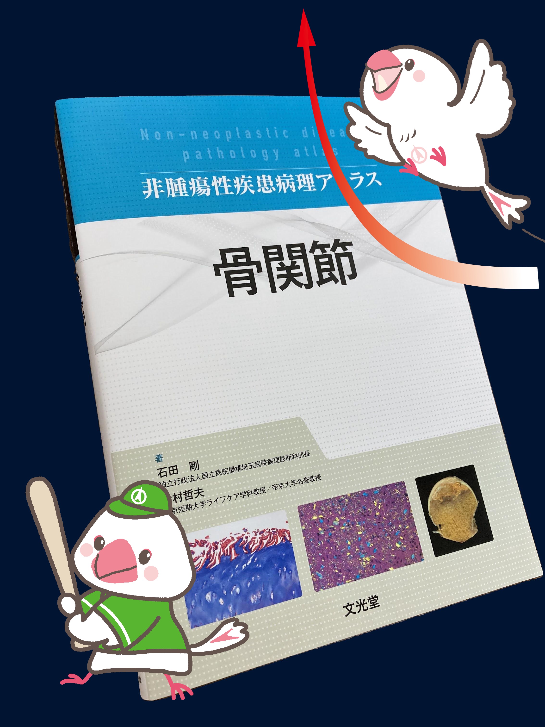 非腫瘍性疾患病理アトラス　骨関節 | 石田　剛, 今村哲夫 |本 | 通販 | Amazon