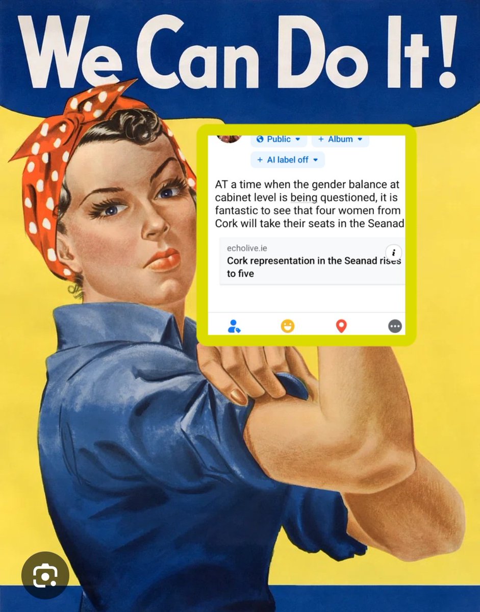 KinsaleObserver's tweet image. #Seanad2025 #seanadelection