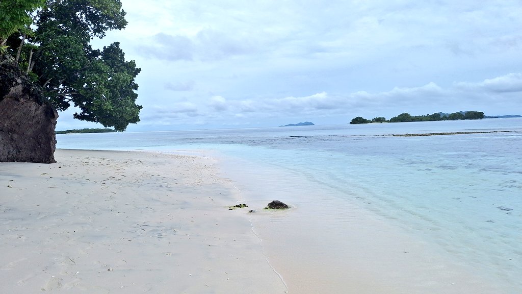 Mark Stratton tweet media