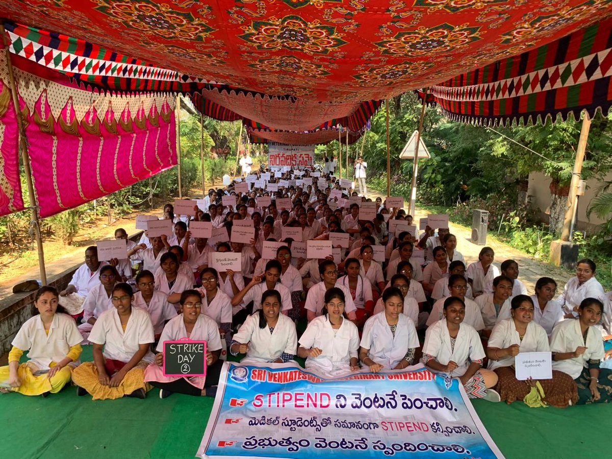 apvetmedicos's tweet photo. "Veterinary students are the backbone of livestock healthcare🐐🫎🫏. It is unjust to expect future veterinarians to survive on a 13-year-old stipend structure while inflation soars.” we demand equal with all medical students 🏥 apvetmedicos are on strike Day-2
#apvetmedicos🔥🔥#apvetmedicos #tirupati #proddatur
#Garividi #gannavaram
@VeterinaryIndia @ncbn @naralokesh
@katchannaidu @AndhraPradeshCM
@PurandeswariBJP @BJP4India @PawanKalyan
@mnadendla @Dr_NarayanaP @Anitha_TDP
@satyakumar_y @RamanaiduTDP @PayyavulaOffl
@SatyaAnagani @kpsarathyTDP @ravi_gottipati
@bcjrofficial @tgbharath @SavithammaTDP
@TV9Telugu @sakshitvdigital @NtvTeluguLive
@tv5newsnow @abntelugutv @10TvTeluguNews
@etvandhraprades @hmtvnewslive @StudioN @ysjagan  @YSRCParty
