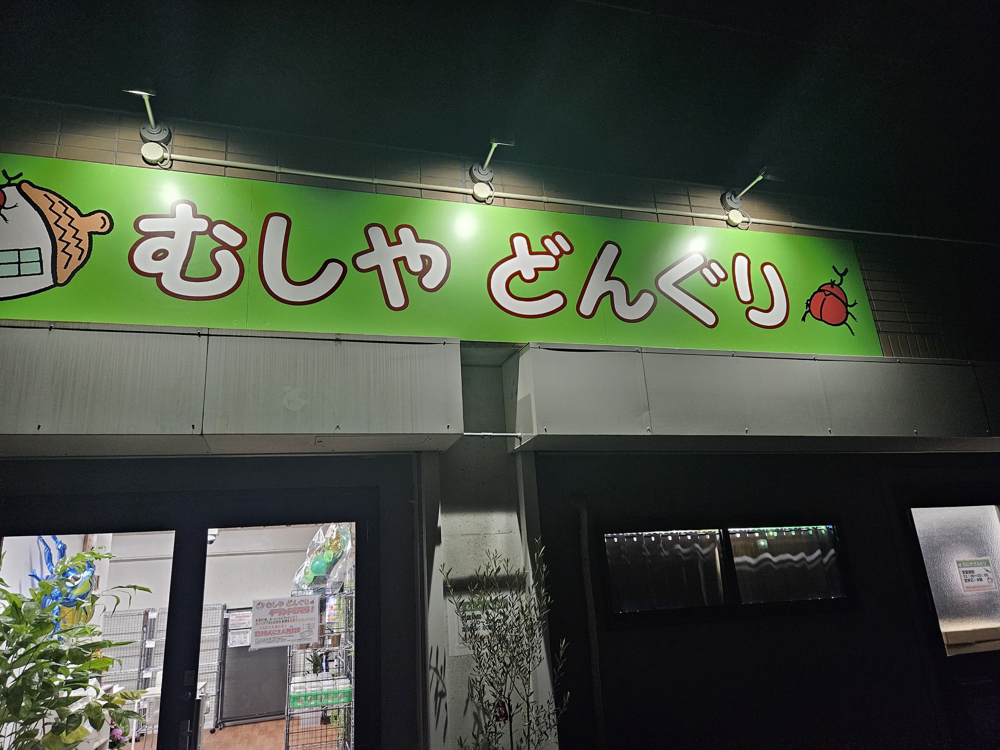 どんぐり♡ページ むしやどんぐり - البحث / X