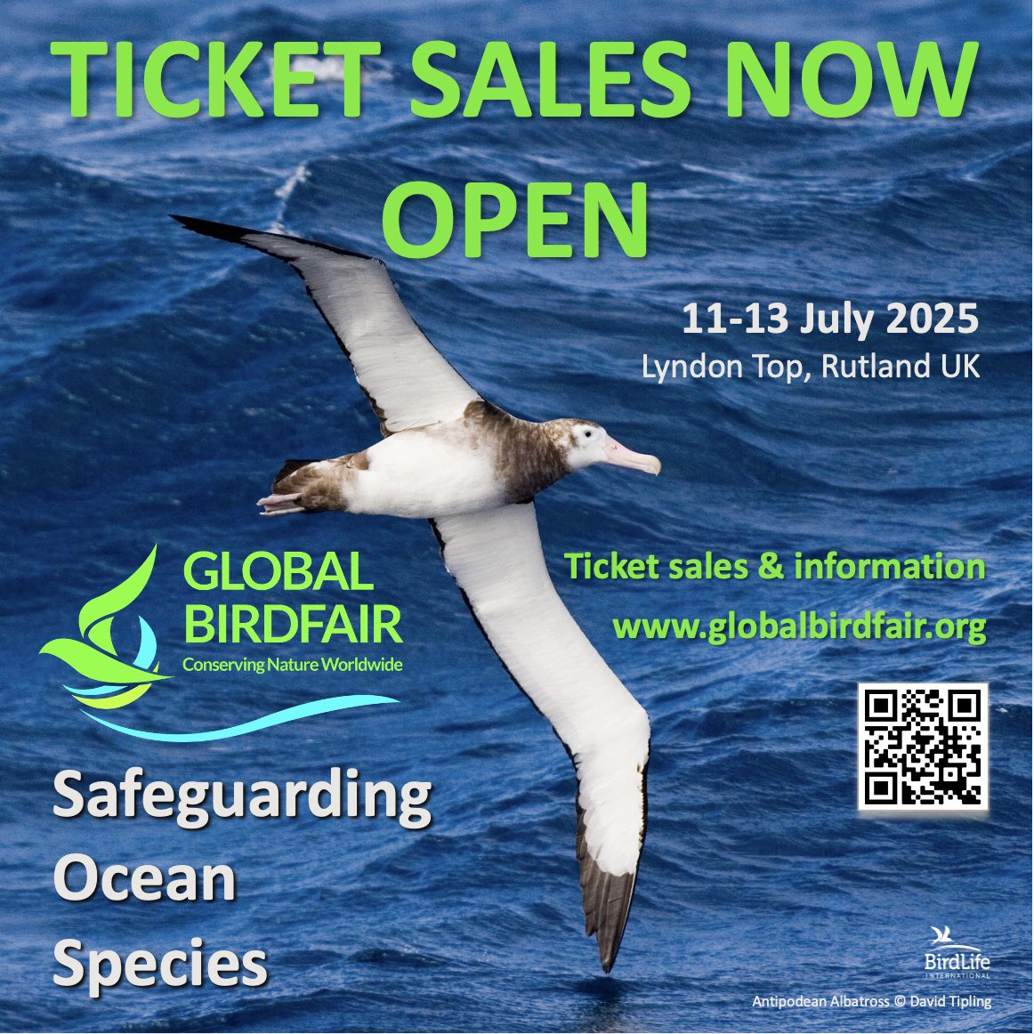 Global Birdfair tweet media