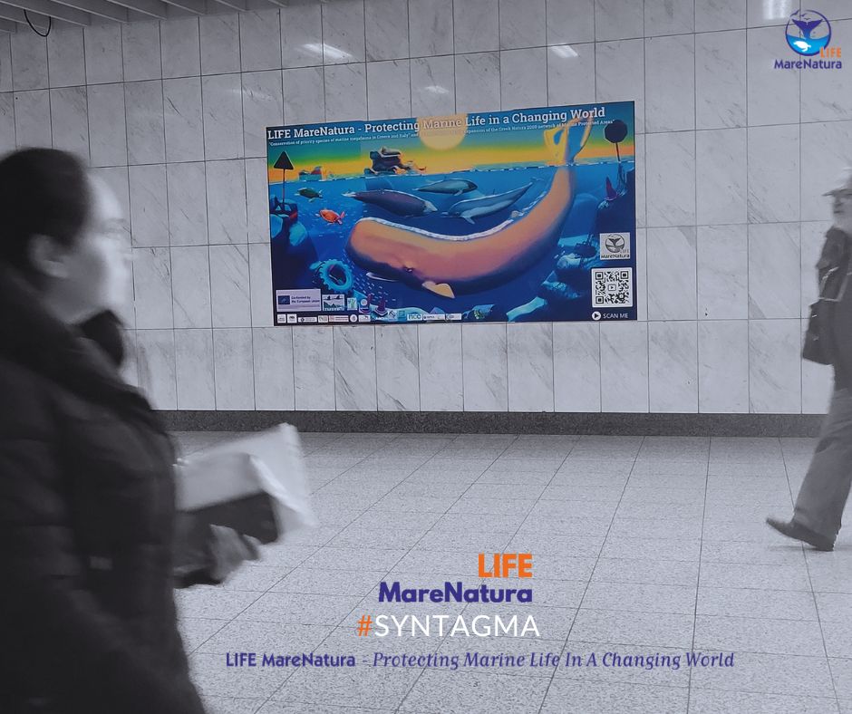 🚇 Spotted our #lifemarenatura banners, yet? 
📲 Scan the QR code to unlock a special #video narrated by a majestic dolphin! 🐬🎥
👀 Have you seen the nature in the city? 
📱Snap a pic, tag us, use our hashtags &amp; be featured!
#lifemarenatura #NatureOnTheMove #SpotTheNature