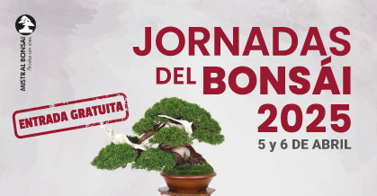 Acércate a Mistral Bonsai y vive las Jornadas del Bonsái en primera persona. Dos días llenos de talleres, actividades, demostraciones, visitas guiadas... ¡y muchas sorpresas! 
Más info > mistralbonsai.com/evento/jornada…