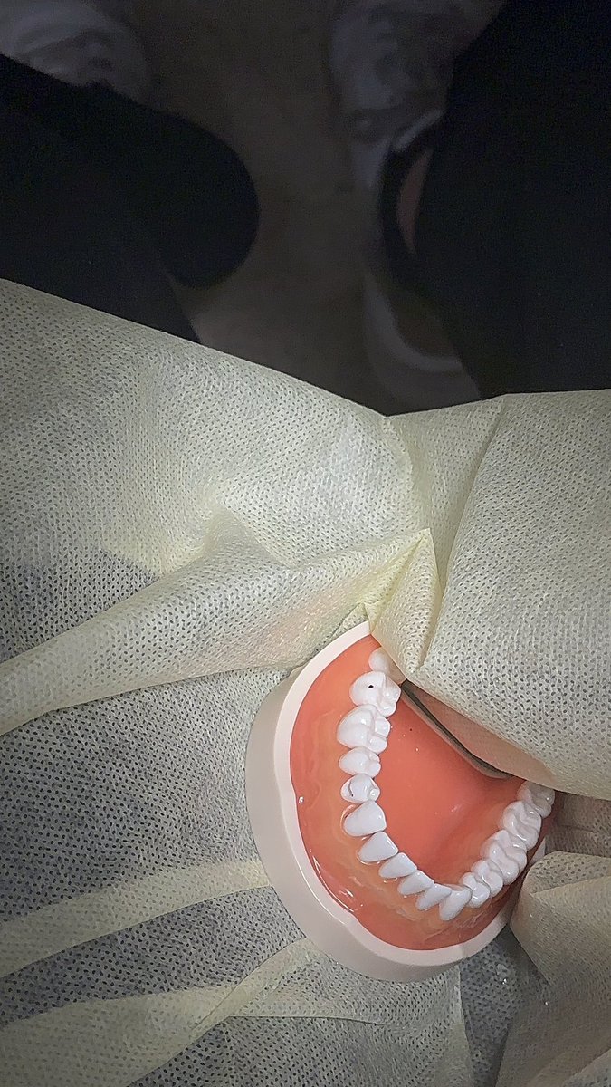 Today’s labbbb ✨