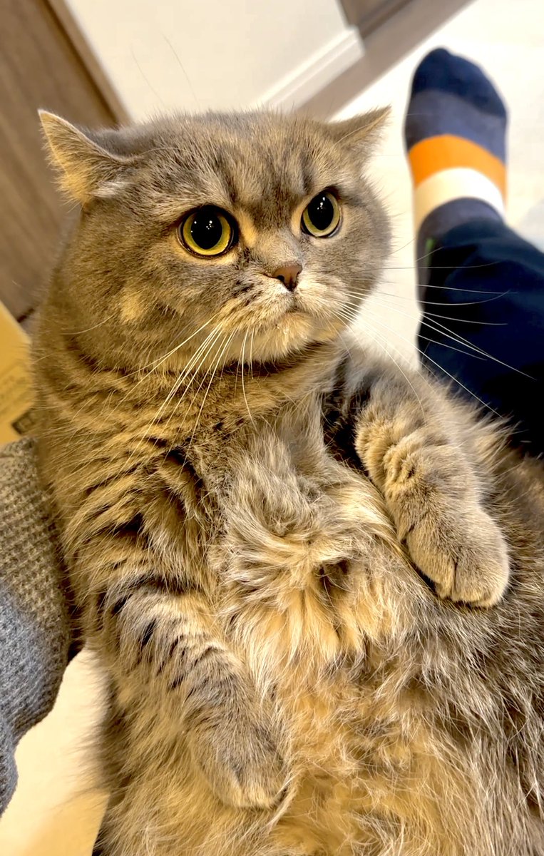 首が前に出とる