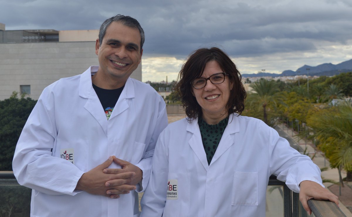 Instituto I+D+i Biotecnología Sanitaria de Elche (@idibe_umh) on Twitter photo 📢 ¡¡ GRAN NOTICIA !!
Los investigadores 👩🔬<a href="/lmarroqui/">Laura Marroquí</a> y🧑🔬<a href="/rsdossantos13/">Reinaldo dos Santos</a> recibirán financiación del EFSD/Lilly European Diabetes Research Programme para estudiar la inhibición de la vía de interferón-alfa como posible terapia preventiva en #DiabetesTipo1 🩸 📢 ¡¡ GRAN NOTICIA !!
Los investigadores 👩🔬<a href="/lmarroqui/">Laura Marroquí</a> y🧑🔬<a href="/rsdossantos13/">Reinaldo dos Santos</a> recibirán financiación del EFSD/Lilly European Diabetes Research Programme para estudiar la inhibición de la vía de interferón-alfa como posible terapia preventiva en #DiabetesTipo1 🩸