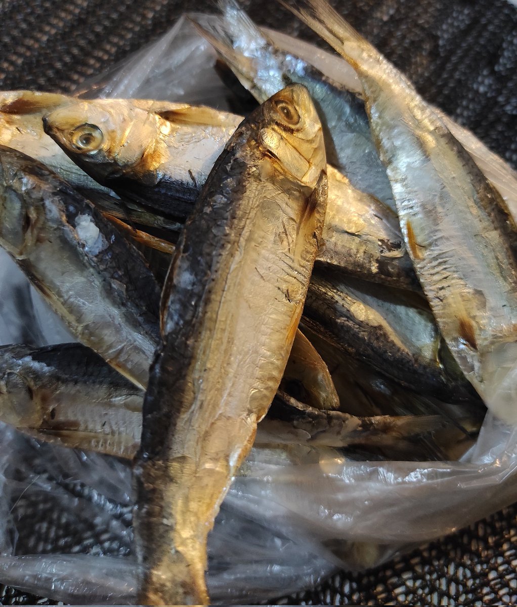 ggukieminn_'s tweet image. ok.. you'll be my viand till feb 19... 🤧🤧
thank you MIL for these... 🤭
#driedfish #tuyo #forhobicon