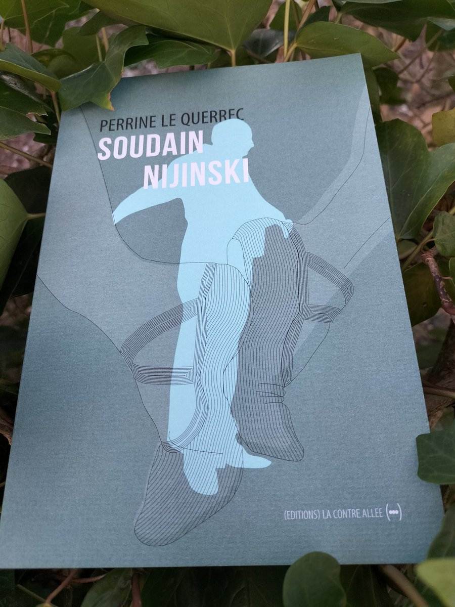 Soudain, Nijinski 
Perrine Le Querrec 
Éditions La Contre Allée 
🌸🌸🌸🌸🌸
Danse unique, ballet spéculatif.
Nijinski exulte, élance son corps dans l'infini des pulsions créatrices.
Le paysage des séductions.
E. L.
🌸🌸🌸🌸🌸