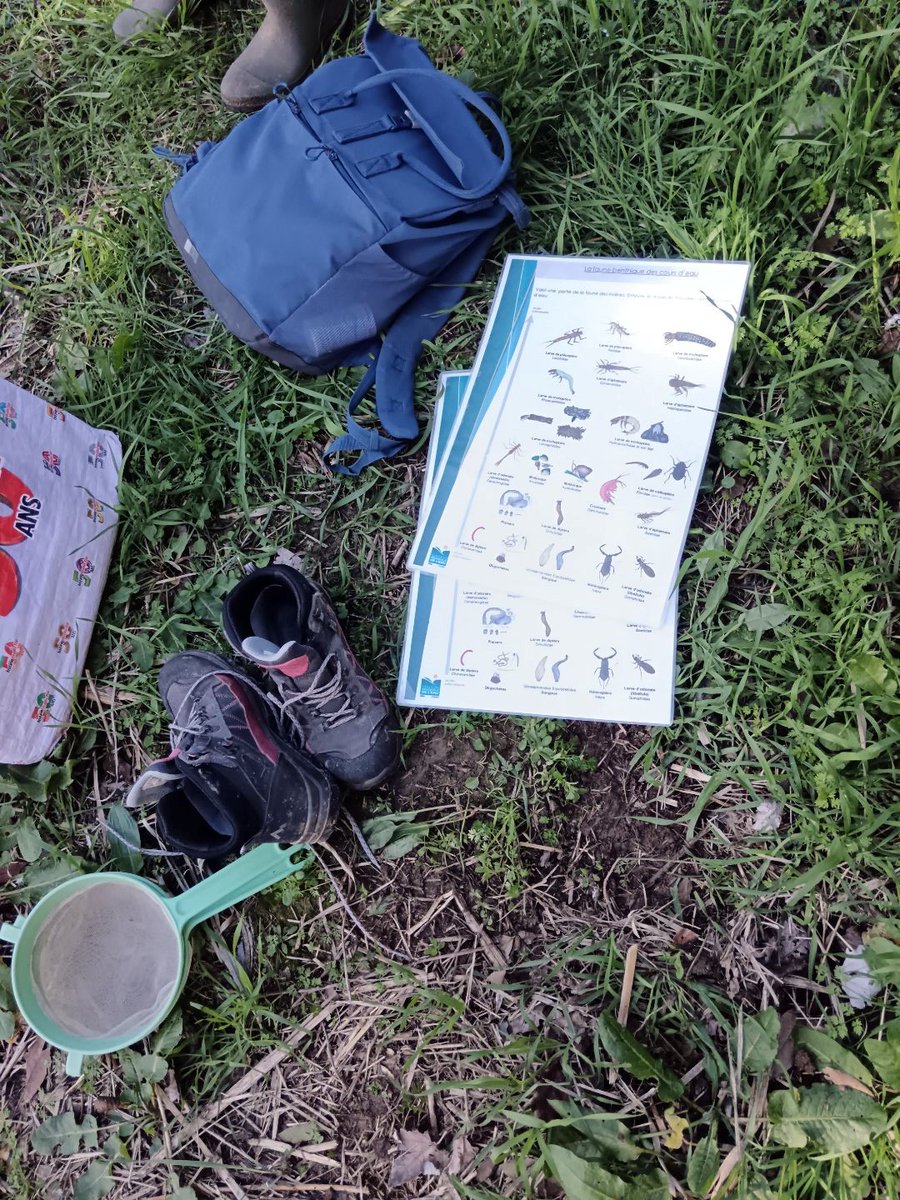 Collège Victor Hugo - Gassin tweet media