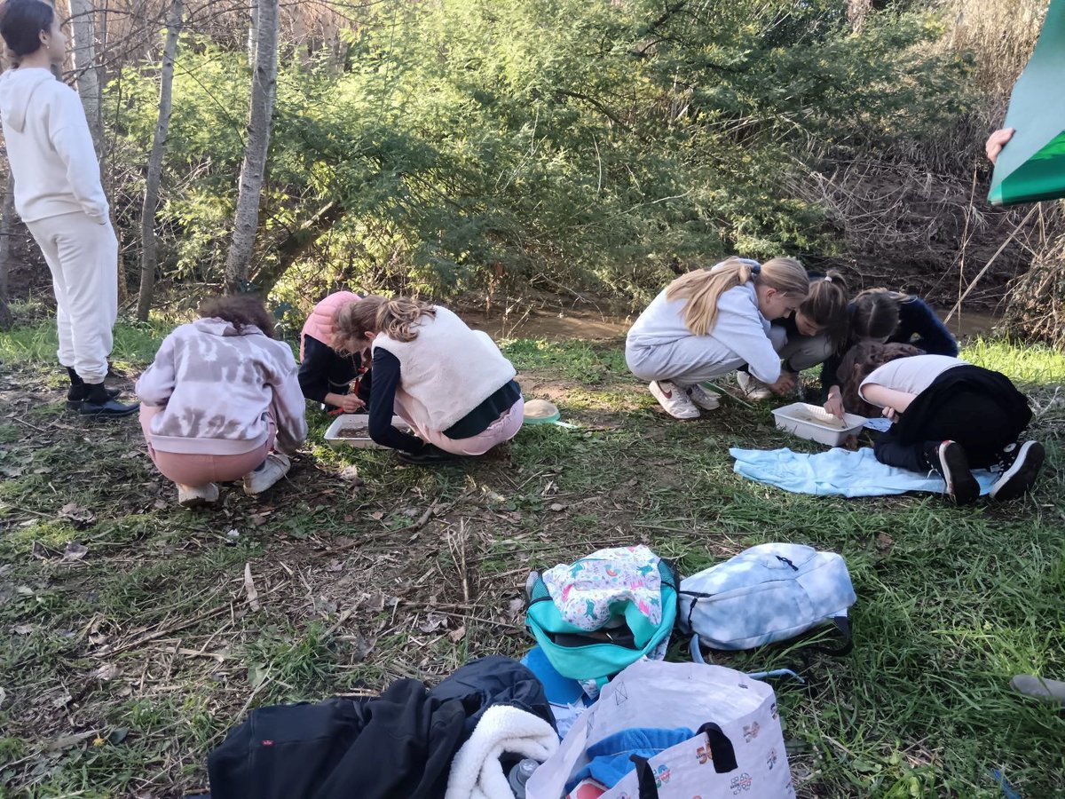 Collège Victor Hugo - Gassin tweet media