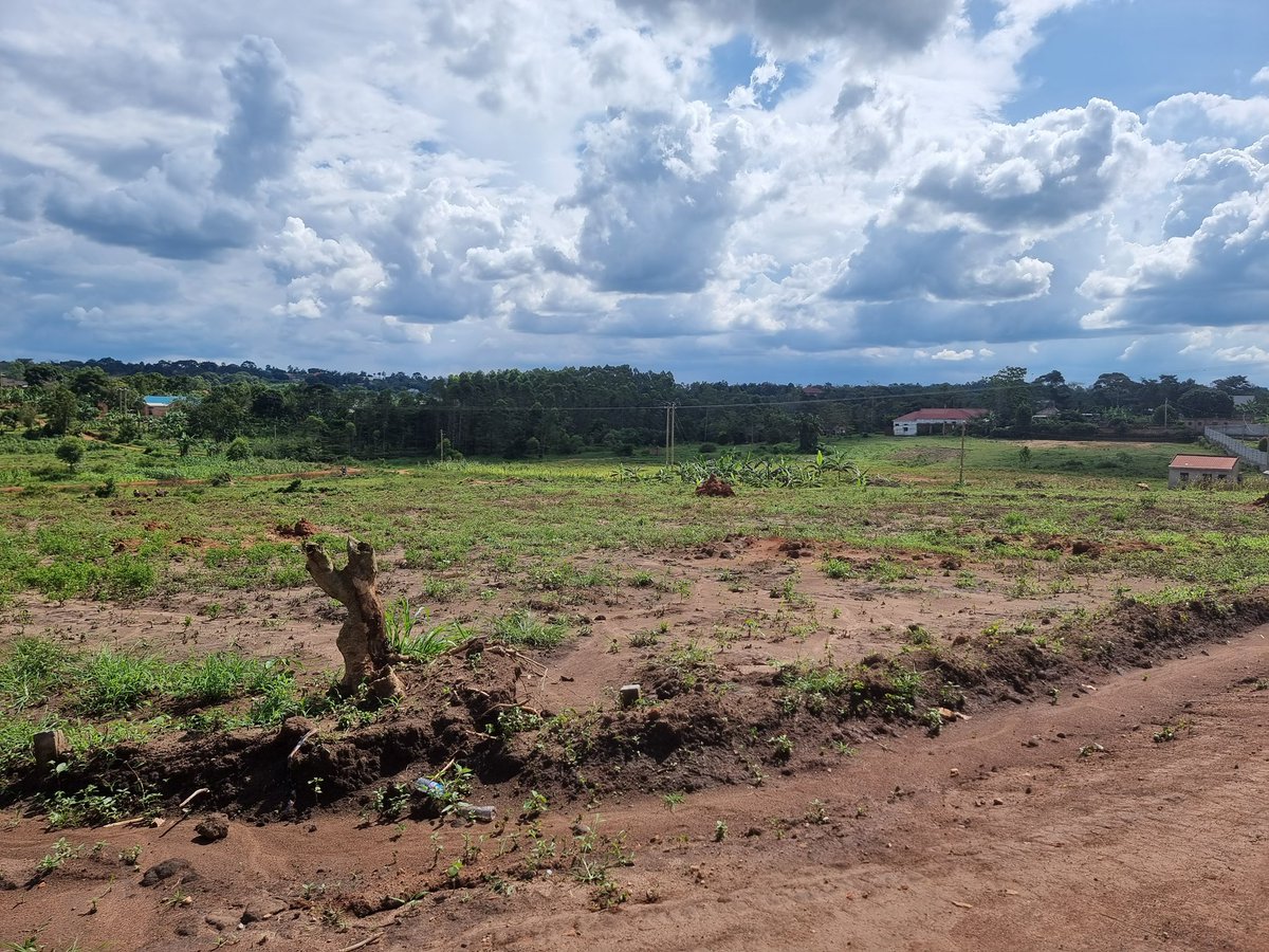 Luba_Properties's tweet image. 🔑 Ready to make your next property move? Let us handle the tough stuff!
🏠 Title Search
📏 Land Surveying
🔄 Land Transfer
📝 Title Processing (Subdivisions &amp;amp; Untitled)
We simplify the process, so you can enjoy the journey! #RealEstateMadeEasy #LandExperts #PropertySolutions