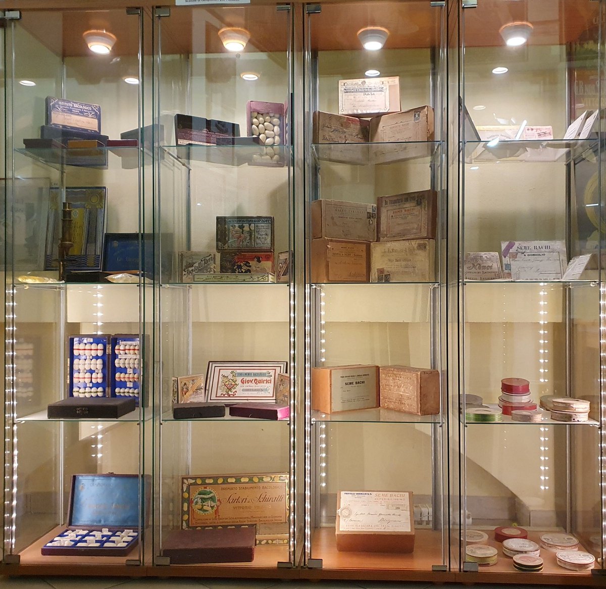 Telaini del seme bachi contenitori per la spedizione del seme bachi e campionari delle ditte bacologiche nelle vetrine del Museo #musei #soncinomusei #soncinocultura #bacodaseta #bachicoltura