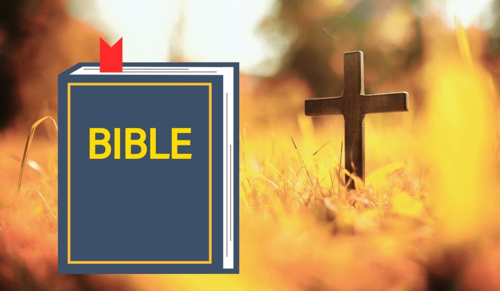 whatbiblesaying's tweet image. How to Study the Bible Effectively: A Comprehensive Guide for Beginners
#BibleStudyTips #SpiritualGrowth #FaithJourney #ScriptureStudy #christianliving 
whatbiblesaying.com/how-to-study-t…