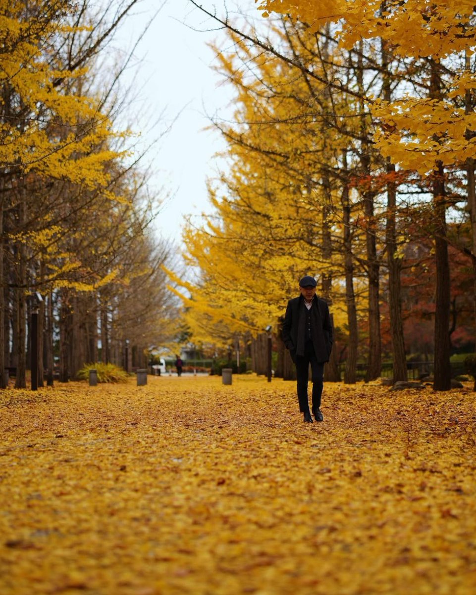 嫌なことを
ただ堪え忍ぶのが
「我慢」

好きなことのために
堪え忍ぶのが
「辛抱」

我慢の中には
「不満」があります

辛抱の中には
「希望」があります

我慢はいずれ
「爆発」します

辛抱はいずれ
「実り」ます

我慢はしないほうがいい

辛抱だったらしよう