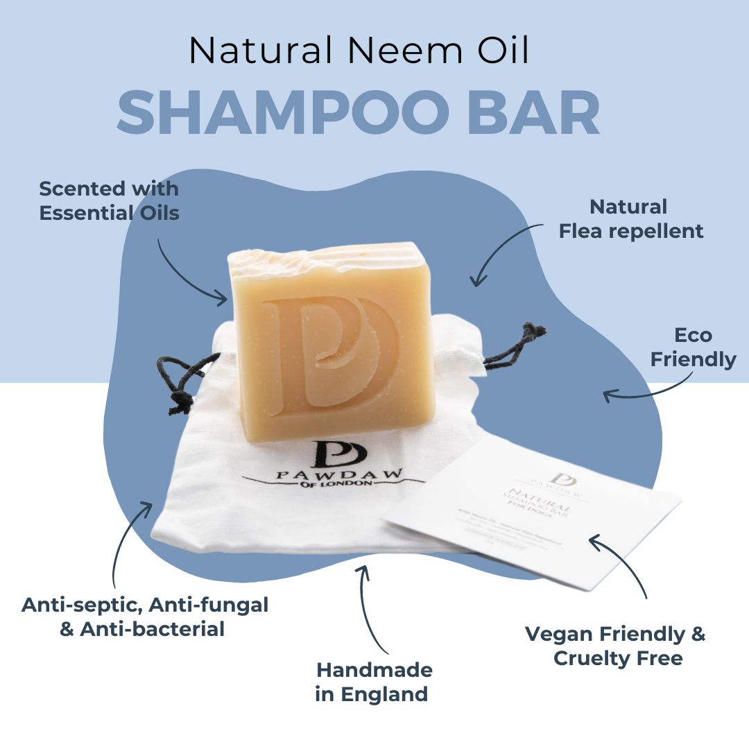 PawdawofLondon's tweet image. Get ready for pawesome perks! Spoil your pup with 10% off your first order when you subscribe to our newsletter—because your furry friend deserves the best 🛍️🐕 

Sign up now!

#muddypawspack #adventuredogs #dogmomproblems