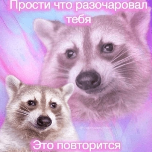kippsik tweet media