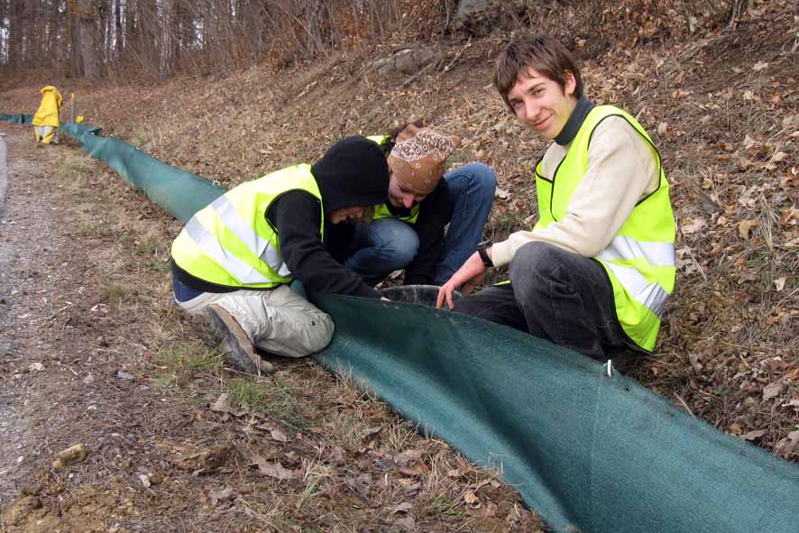 Die Amphibien beginnen schön langsam wieder zu wandern, und somit ist es wieder Zeit für die  |naturschutzbund| Froschklaubbörse. Mach mit beim Amphibienschutz! 
naturschutzbund.at/froschklaub-bo…