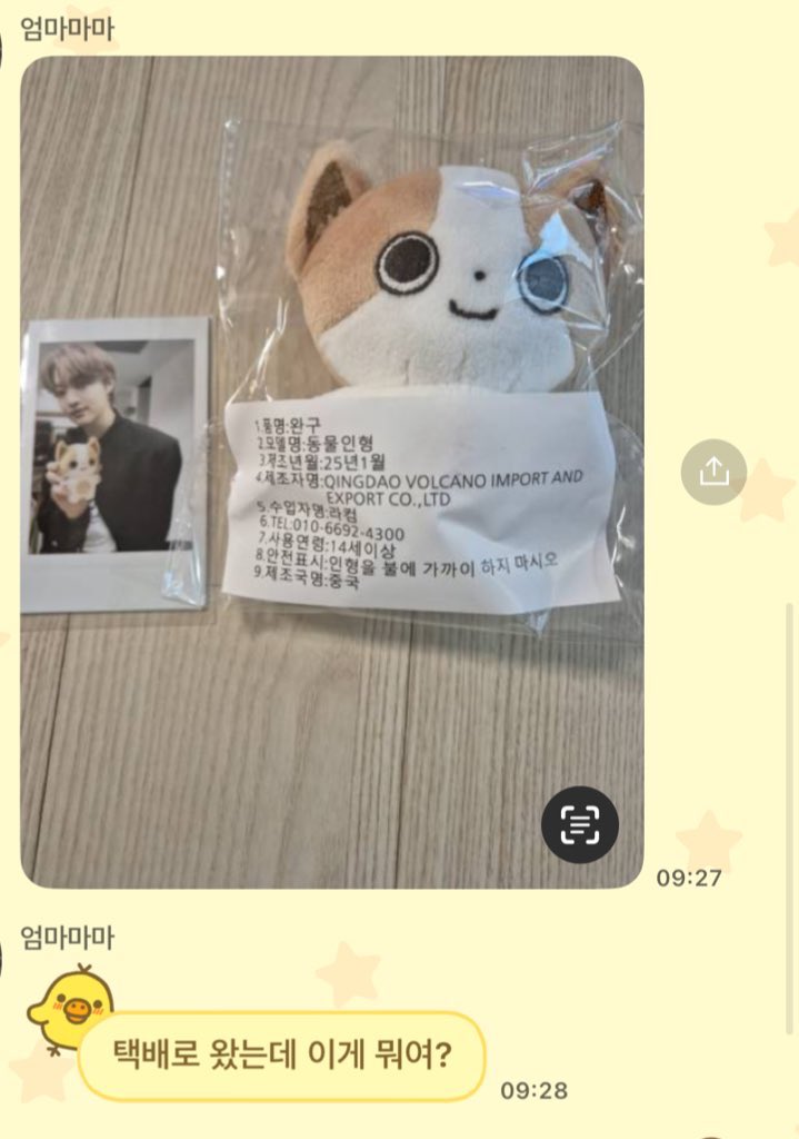 쭈와와 우리집에 상륙 (7월 상봉 예정)