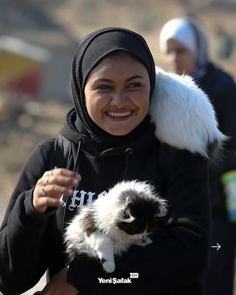 El masacrado pueblo de gaza vuelve a sus hogares destruidos  con sus gatos a los que han conseguido  proteger a pesar del genocidio  sufrido a manos del estado sionista  y terrorista de Israel  #freepalestine #boicotisrael
