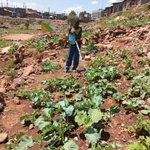 Photo by Ecological Justice Network-Mathare. (@EcoJusticeNet)