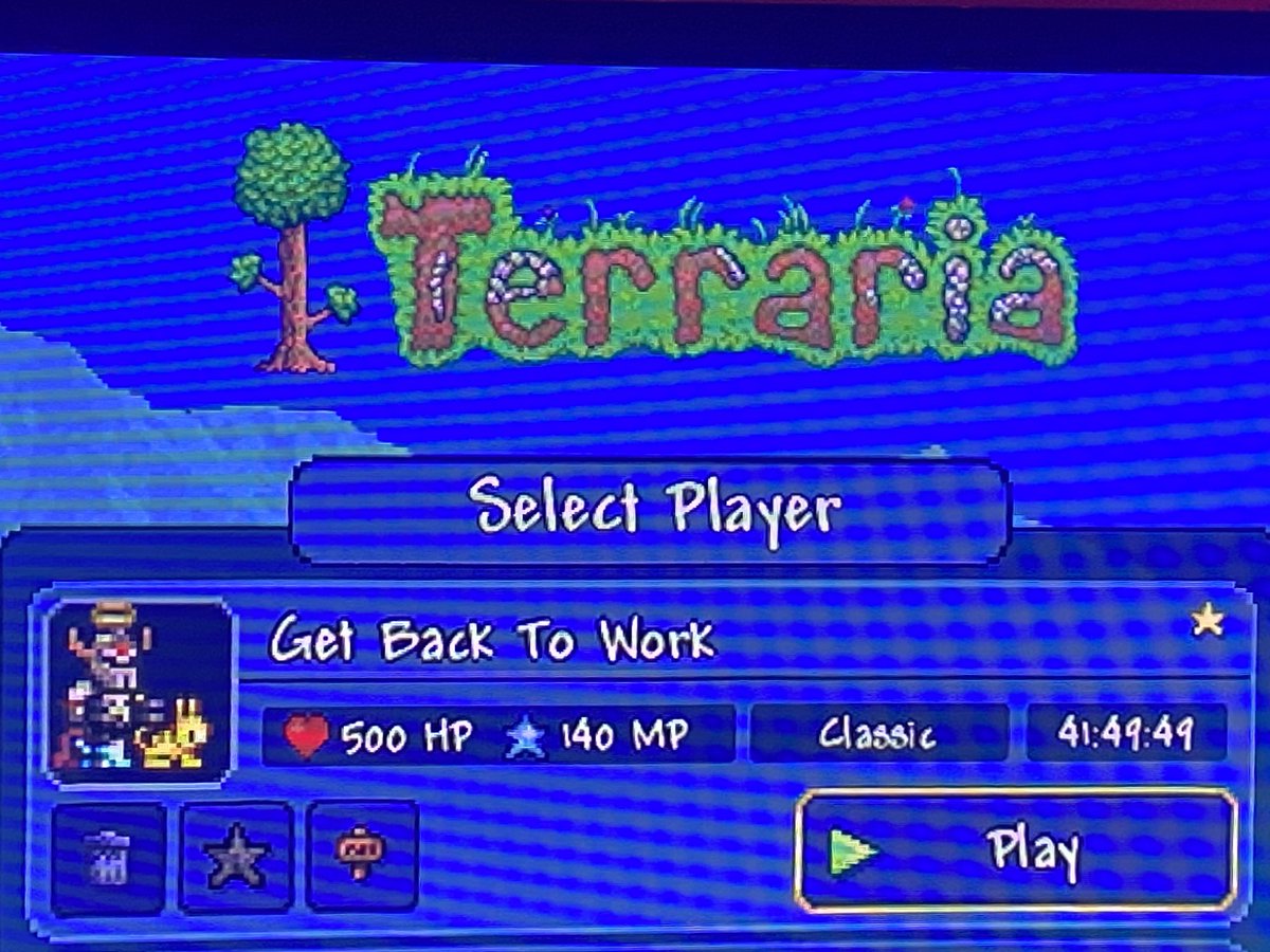 r/Terraria 🌳 tweet media
