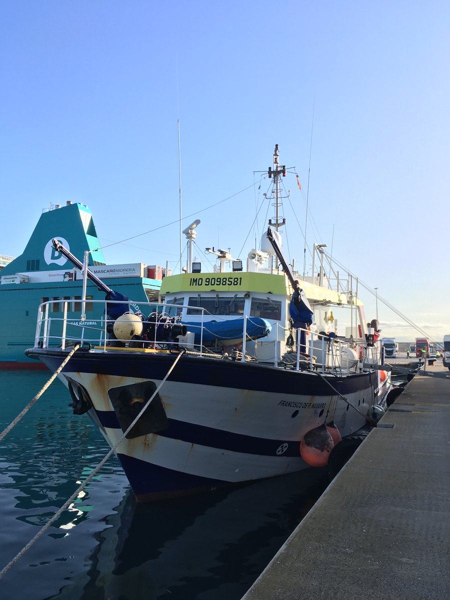 IEO Baleares 🐟🪸🐙🦐🐬 tweet media