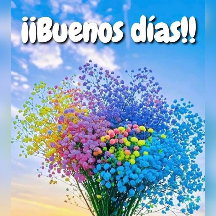 Muy feliz martes amigos 🤗 ❤️ 😊
