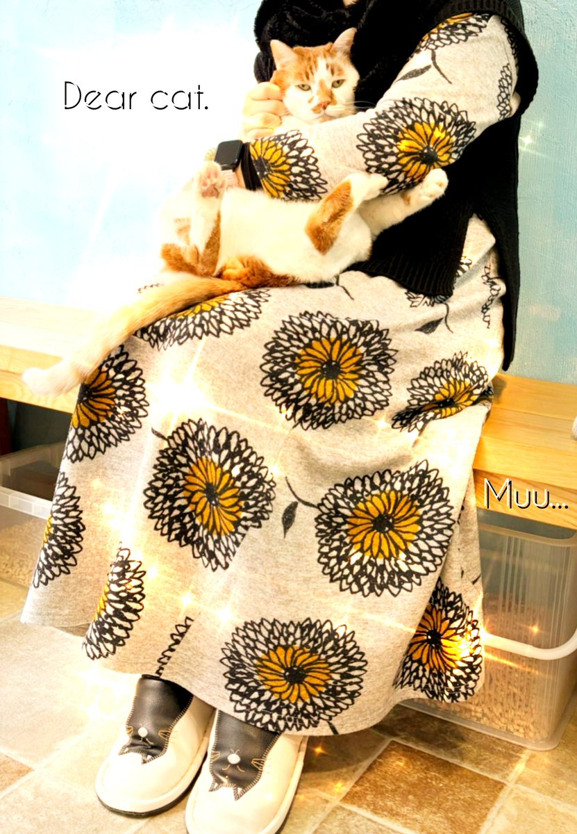 muuart_0625's tweet photo. #Dearcat
#奈良
#保護猫
@dear_cat_cafe 猫カフェの
Dear catさんに遊びに行きました。 https://t.co/HFim2S024g