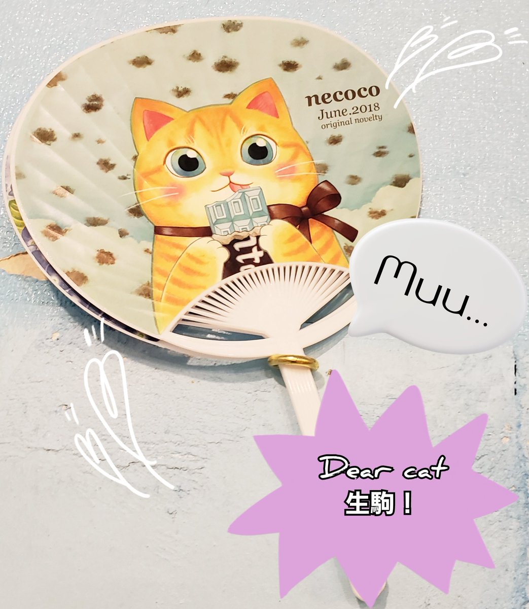 muuart_0625's tweet photo. #Dearcat
#奈良
#保護猫
@dear_cat_cafe 猫カフェの
Dear catさんに遊びに行きました。 https://t.co/HFim2S024g