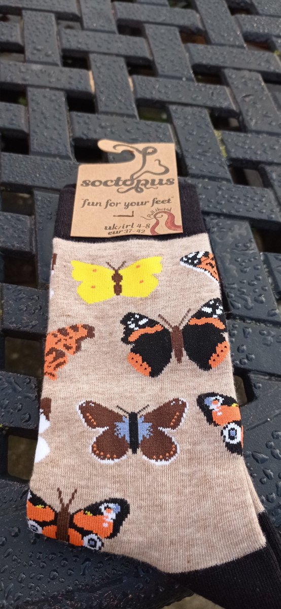 Sharon Hearle tweet media