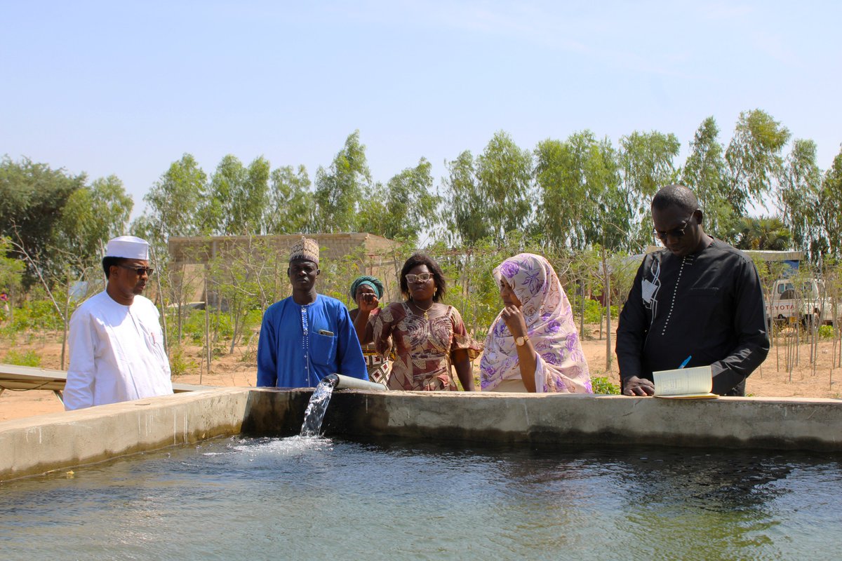 agmvtchad's tweet photo. 🌍 Bilan 2024 | ANGMV
✅ 828 bénéficiaires (71% de femmes)
✅ 4 144 emplois verts créés
✅ 3 FACI opérationnelles
✅ 1 438 ha de terres restaurées
✅ 220 000 plants mis en terre
Un engagement fort pour la résilience climatique et la sécurité alimentaire. 🌱 https://t.co/PtGj7O3moH