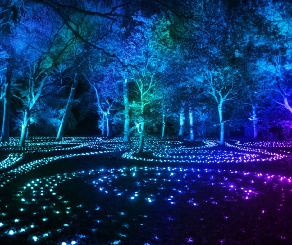 Let's light up Lincolnshire 💡

These special events are set to illuminate the county this February:

✨ 11-15 Feb: Luxmuralis @lincscathedral
✨ 14-15 Feb: Boston Brilliance
✨ 20-21 Feb: Lincoln Lights
✨ 21 Feb: Gainsborough Illuminate

Full details 👉 bit.ly/3Q36ihI