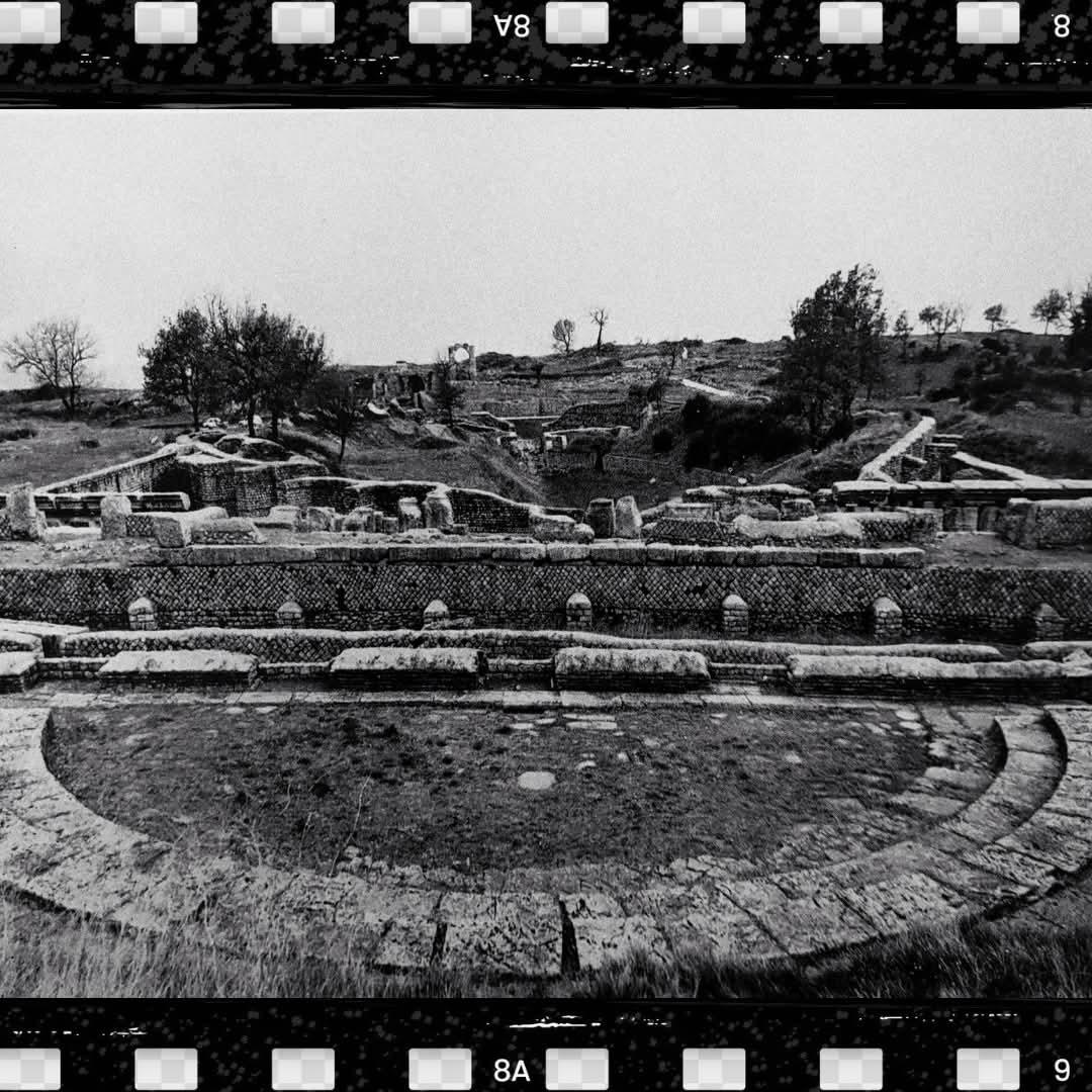 ArcheoCarsulae tweet media