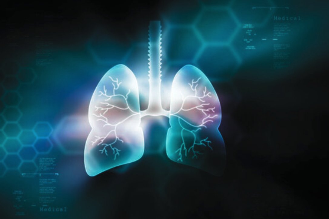 📢 #FABI organiza la I Jornada de #CirculaciónPulmonar y #PatologíaIntersticialPulmonar 📅 21-22 de marzo 📍 en  #Huelva 👩‍⚕️ Dirigido a especialistas en #Neumología, #Cardiología, #MedicinaInterna y #Reumatología 🎯 Formación + casos clínicos. ¡Apúntate! 🔗 fundacionfabis.org/i-jornadas-mul…