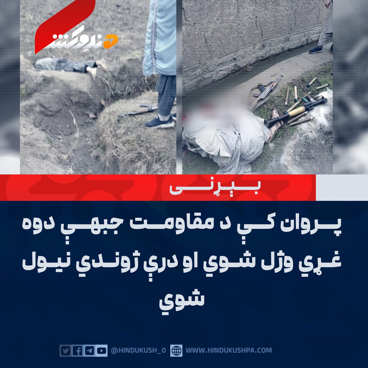 وايې بیا ابابیلو باغیان تر باغو اړولې دي 😜