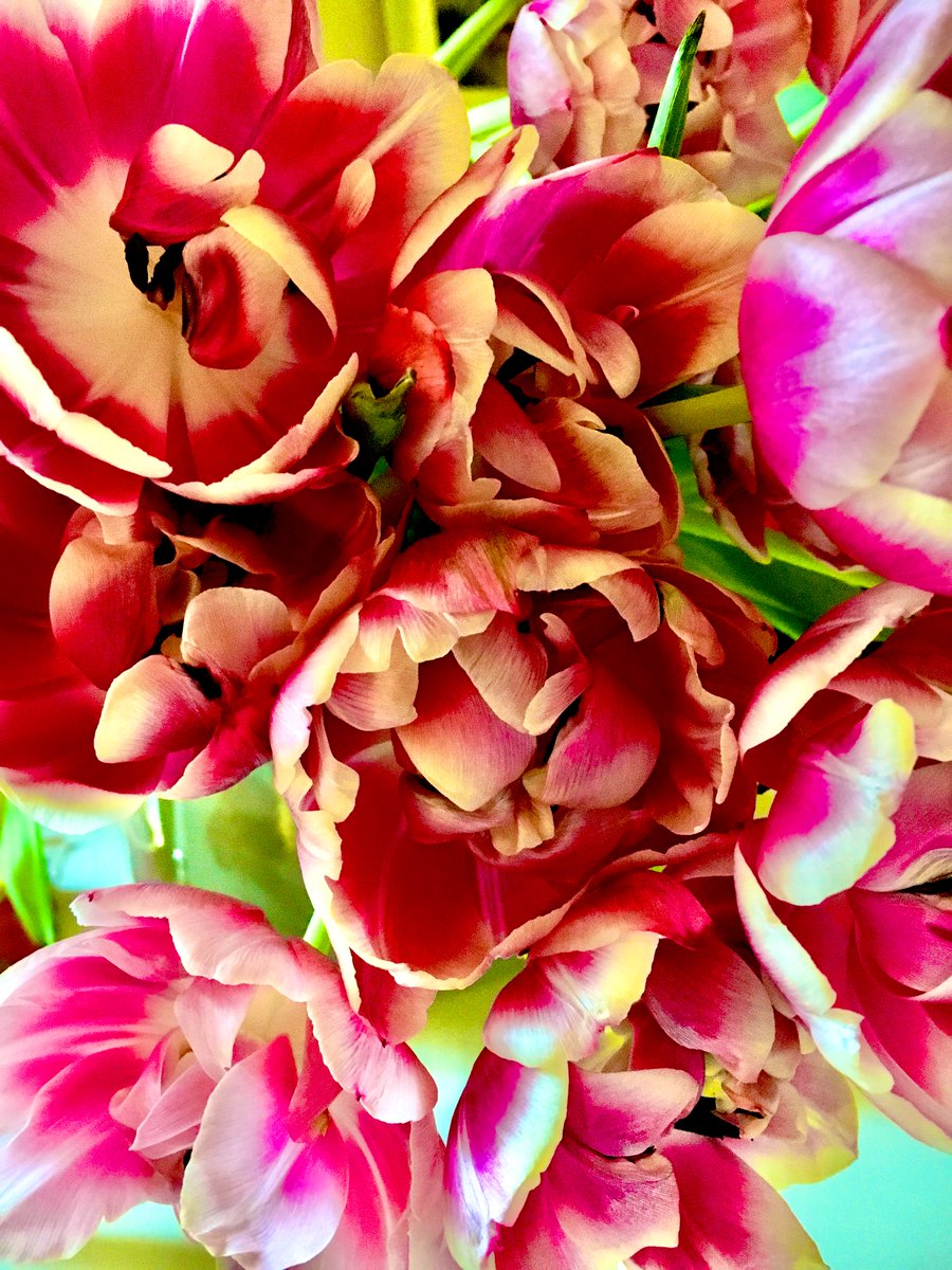 Good morning ☀️💐