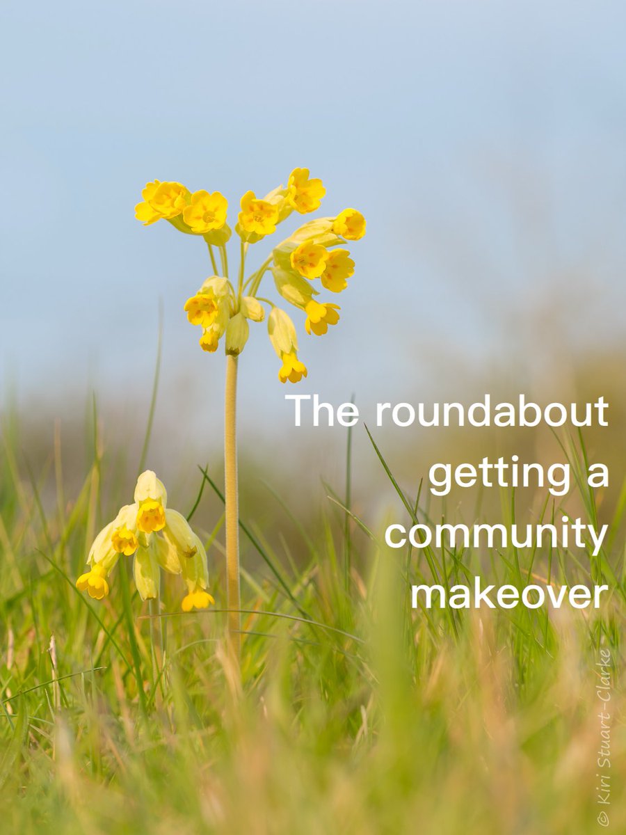 Community-action wildflower planting on a Horley roundabout . 

To hear the clip, tap here and then tap ▶ tinyurl.com/prp73rndbt

#Reigate #Redhill #Merstham #Buckland  #Betchworth #Brockham #Horley #Gatton #Earlswood #Charlwood #Hookwood #Outwood
#Leigh #Nutfield