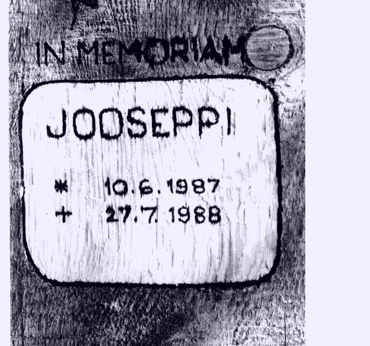 gifs_bot's tweet image. THINGS/JOOSEPPI.GIF