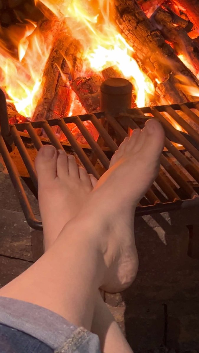 JanesTrueNorth's tweet photo. Toasty by the fire https://t.co/GqIXDyAC60